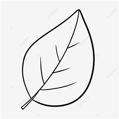 a black and white drawing of a leaf on a white background, line art, leaves, simple png and psd