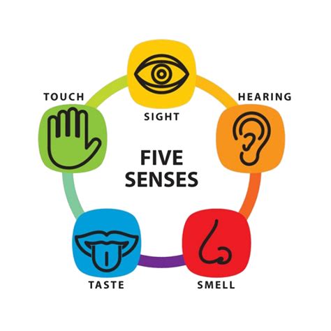 Grounding Techniques with Five Senses - Moving on from Trauma - Terri ...