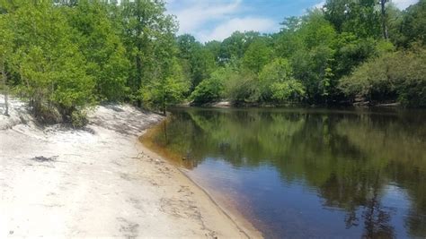 Pafford’s Landing, Alapaha River Water Trail 2018-04-26 | WWALS ...