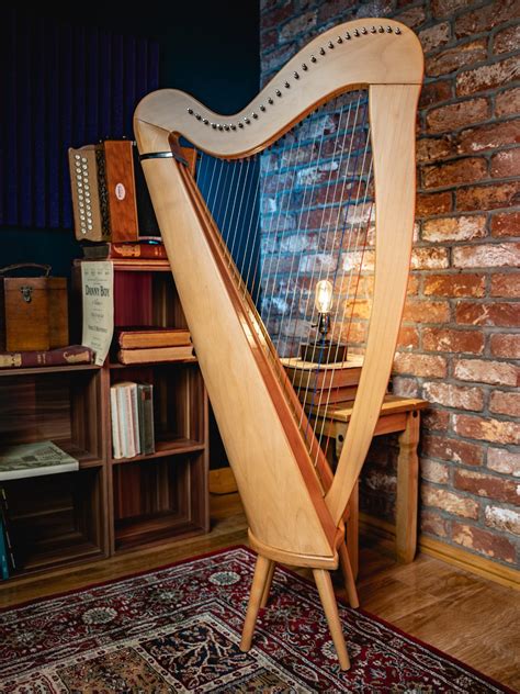 Ireland's Top 5 Favourite Traditional Irish Instruments