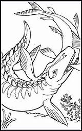 Coloring Liopleurodon Sea Prehistoric Template Sketch Page sketch template