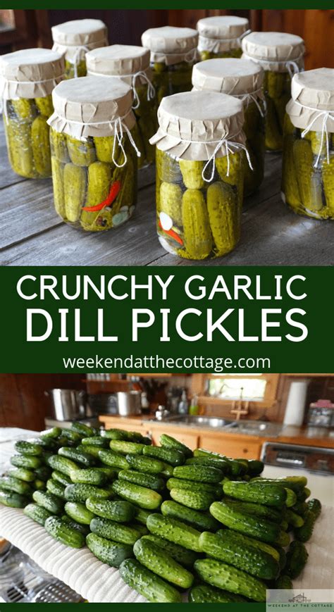 Garlic Dill Pickles Recipe - Weekend at the Cottage | Recipe | Pickling ...