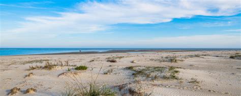 Best Beaches in Georgia | St. Simons Island Beaches