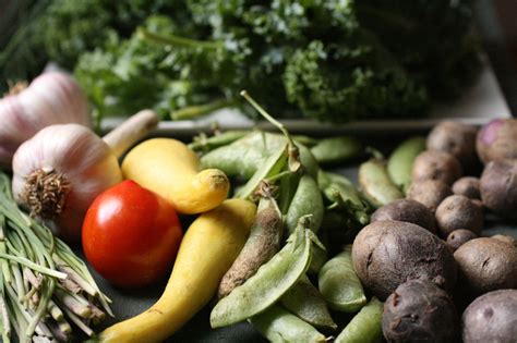 Organic farmers could feed the world – Euractiv