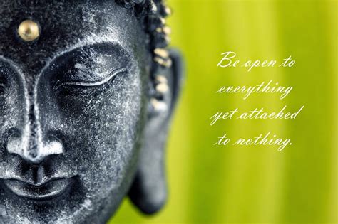 Buddha Quotes Wallpapers - 4k, HD Buddha Quotes Backgrounds on WallpaperBat