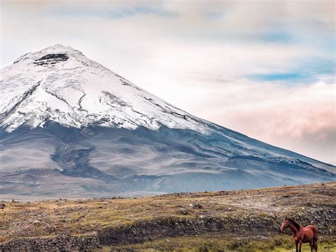 Ecuador Andes, Ecuador – South America – FlashpackerConnect Adventure Travel