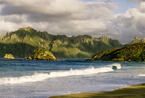 on target shooter nz: Stewart Island - Down South NZ