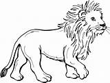 Lion Printable Coloring Pages sketch template