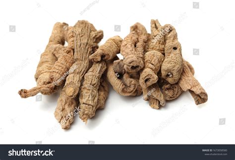 36 Morinda Officinalis Images, Stock Photos & Vectors | Shutterstock