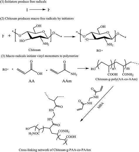 Advances in chitosan-based superabsorbent hydrogels - RSC Advances (RSC Publishing) DOI:10.1039 ...