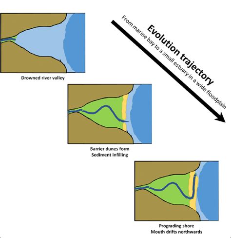 Schematic depiction of the geological formation of the Mlalazi Estuary ...