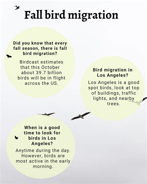 Fall Migration is Upon Us! Migración Otoñal Está Aquí! | Audubon Center at Debs Park