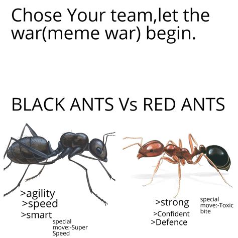 BLACK ANTS vs RED ANTS. : r/memes