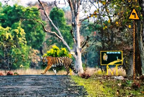 Top 10 Places to Visit in Jim Corbett - #TravelWorld