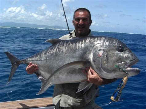 Giant trevally - Alchetron, The Free Social Encyclopedia