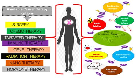 IJMS | Free Full-Text | The MUDENG Augmentation: A Genesis in Anti-Cancer Therapy?