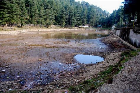 Dal Lake in Dharamsala dying slow death | Himachal Watcher