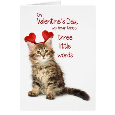 Funny Kitten Valentine Holiday Card | Zazzle.com | Funny birthday cards, Valentine greeting ...