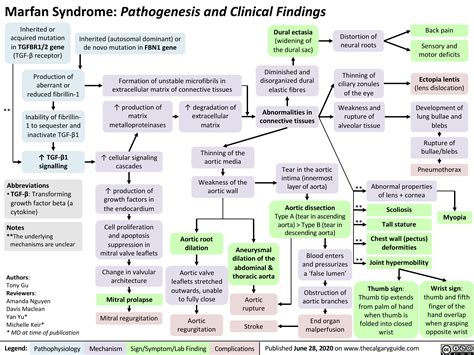 Marfan-Syndrome | Calgary Guide