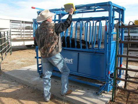 40 Cattle Equipment ideas | cattle, herding, cattle ranching