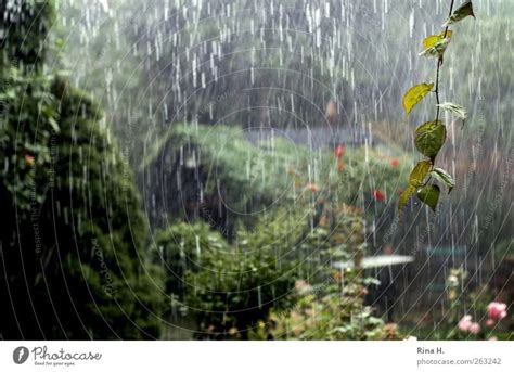 It's raining, it's raining.... - a Royalty Free Stock Photo from Photocase