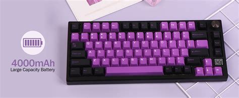 EPOMAKER TH80 SE Gasket 75% Mechanical Keyboard, NKRO Hot Swappable RGB Triple Mode Gaming ...