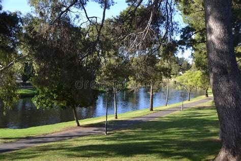 River Torrens Linear Park stock photo. Image of trail - 184158578