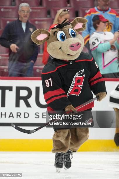 628 Carolina Hurricanes Mascot Stock Photos, High-Res Pictures, and ...