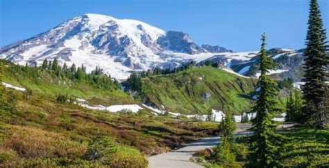 Skyline Trail Loop & Panorama Point, Mount Rainier National Park – Earth Trekkers