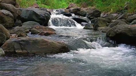 Beautiful river and forest sounds for sleeping, meditation, natural ...