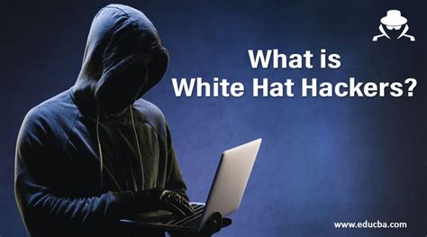 What is White Hat Hackers? | Buzzza.com