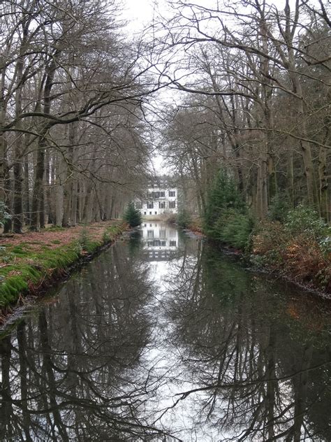 Free Images : landscape, tree, nature, creek, swamp, branch, winter ...