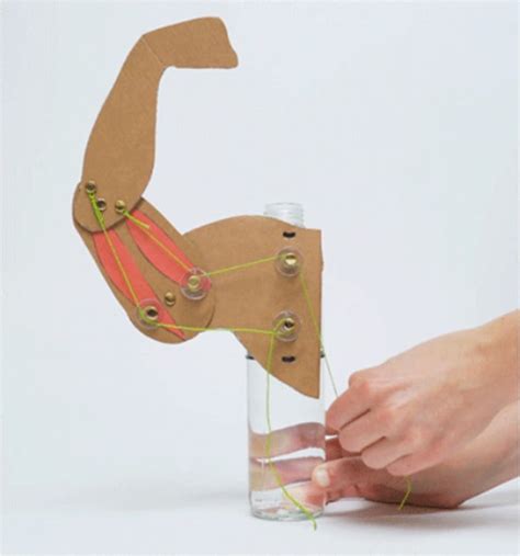 30 Simple Machine Projects for Kids