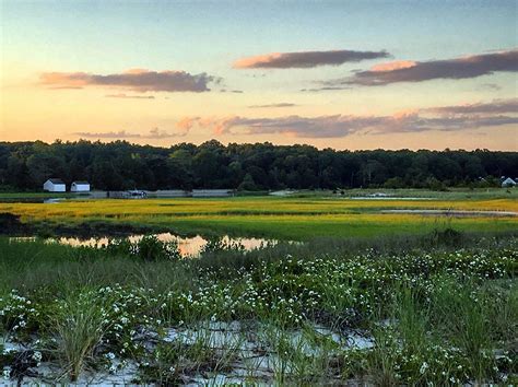 How Healthy Are Coastal Habitats? – U.S. Fish & Wildlife Service – Medium