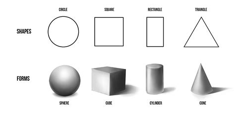 Shape and Form Exercise - CG Cookie