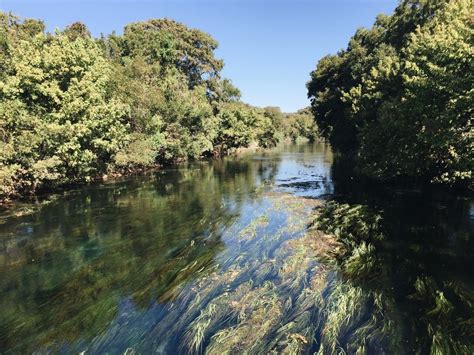 San Marcos River | Smithsonian Photo Contest | Smithsonian Magazine