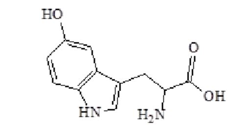 Tryptophan hydroxylase. | Download Scientific Diagram