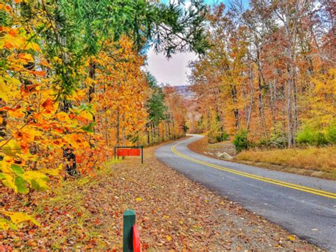 See This Year's Fall Colors On The Boston Mountains Scenic Loop, A 2 ...