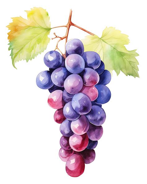 Premium AI Image | grapes leaves branch drawing red purple coloring ...