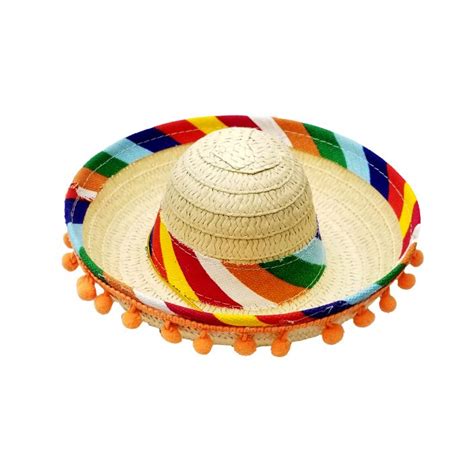 Sombrero Fiesta Dog Hat - PAWsitively Sweet Bakery