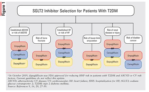 SGLT2 Inhibitors and Heart Failure Outcomes