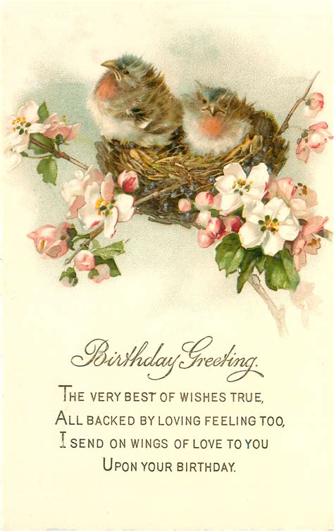 15 Happy Birthday Bird Images! - The Graphics Fairy