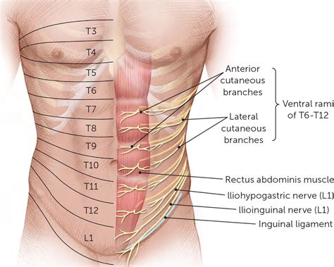 What Is Nerve Entrapment Syndrome