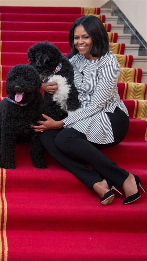 First Lady Michelle Obama with family pets Bo and Sunny. Pinterest ...