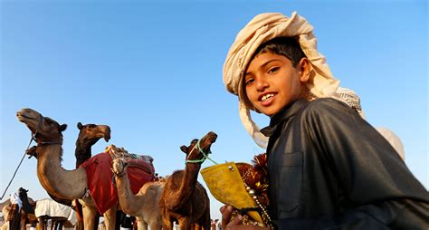 Al Dhafra Festival: The Greatest Showcase Of Bedouin Lifestyle