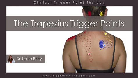 Trigger Point Video for Trapezius Muscle | TriggerPointTherapist.com