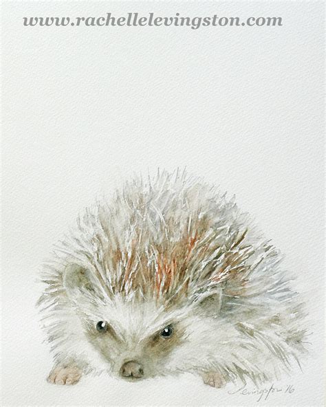 Hedgehog Painting of Hedgehog Art PRINT Hedgehog Print Hedgehog ...