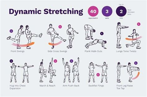 Dynamic Stretching Chart