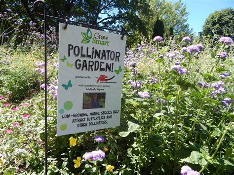 Pollinator Garden | Pollinator garden design, Pollinator garden, Pollination