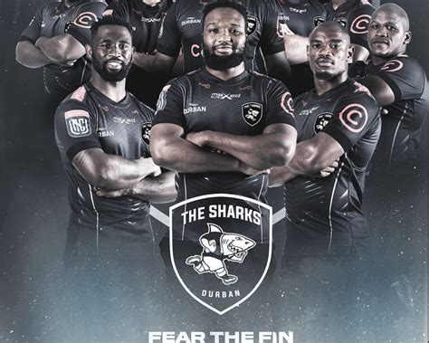 Sharks Rugby announces rebrand - Sport Industry